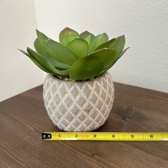 Artificial faux succulent in ceramic pot - Picture 3 of 6